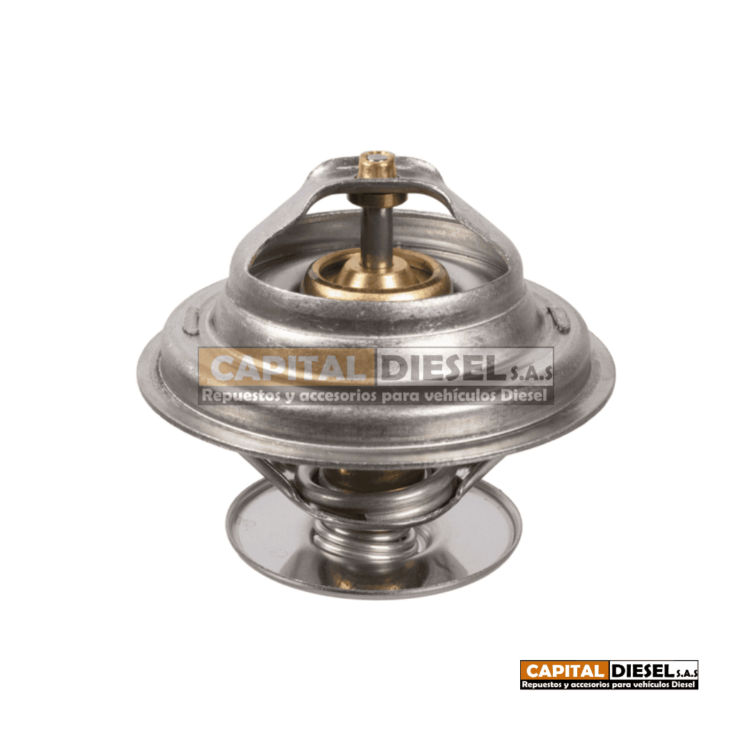 TERMOSTATO M2-106